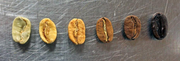Drying phase during roasting