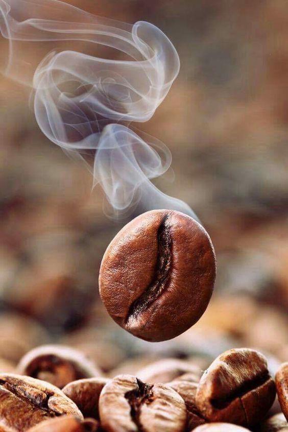 Coffee roasting terms