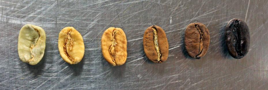 Drying phase during roasting