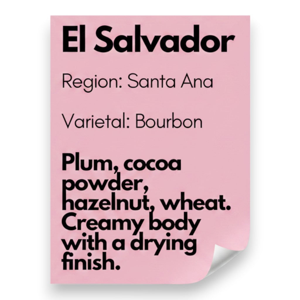 El Salvador,  Santa Ana - Bourbon