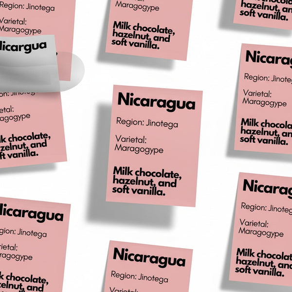 Nicaragua, Maragogype