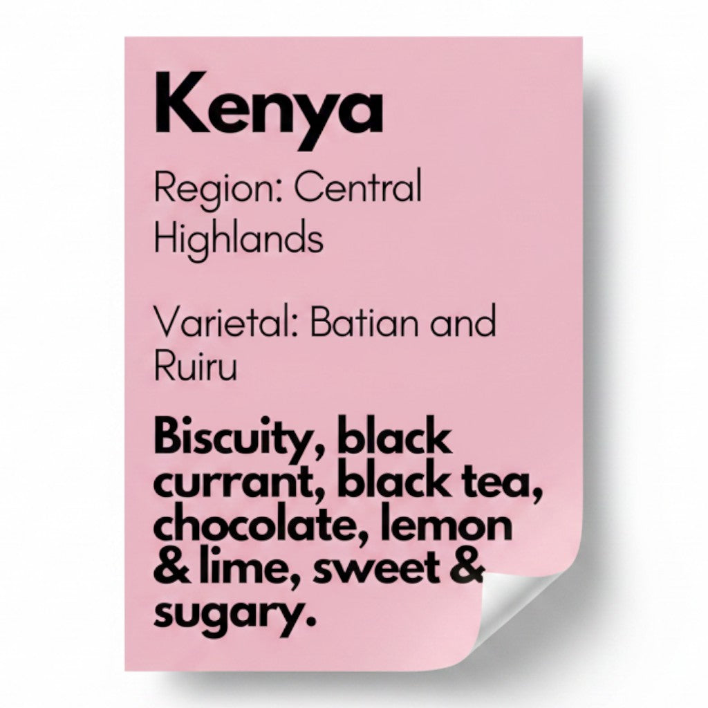 Kenya Fully Washed Kiambu - Regional Blend