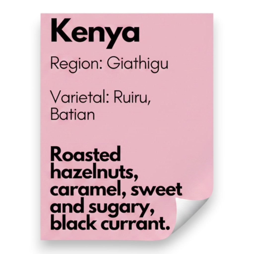 Kenya, Fully Washed - Igutha