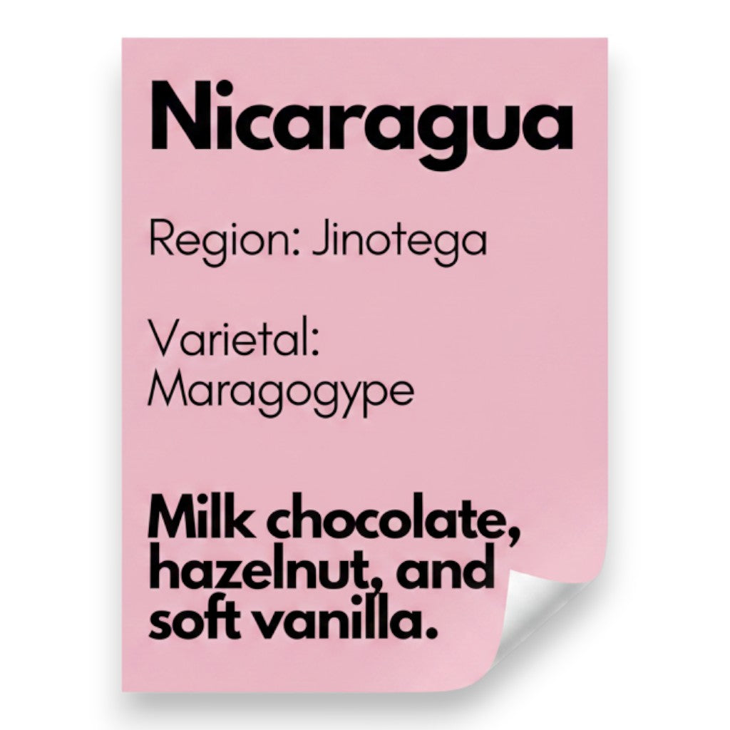 Nicaragua, Maragogype